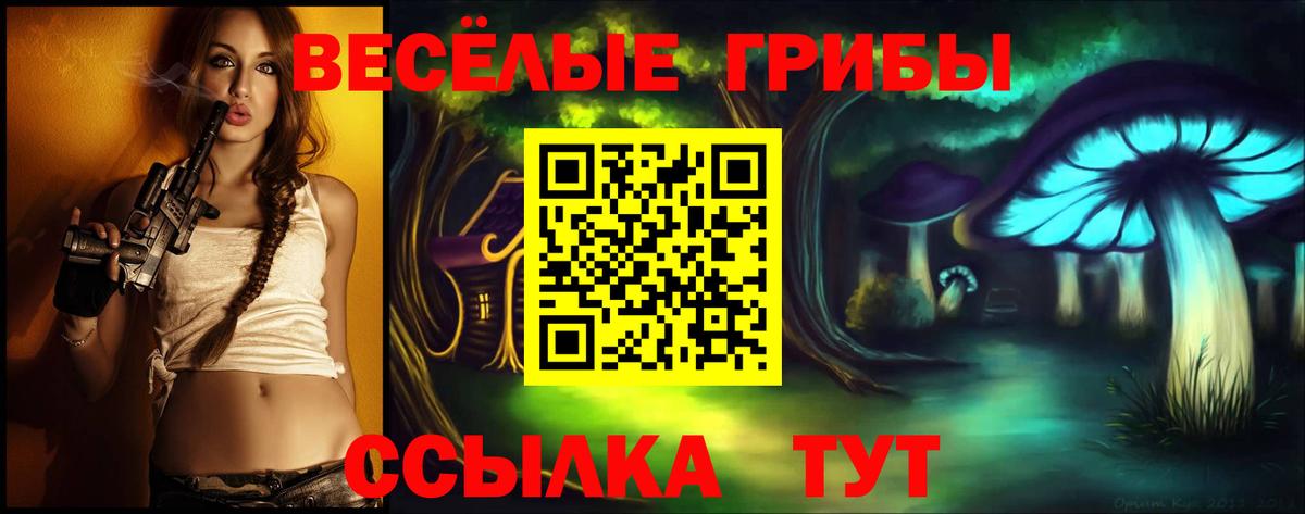 Псилоцибиновые грибы GOLDEN TEACHER Арсеньев